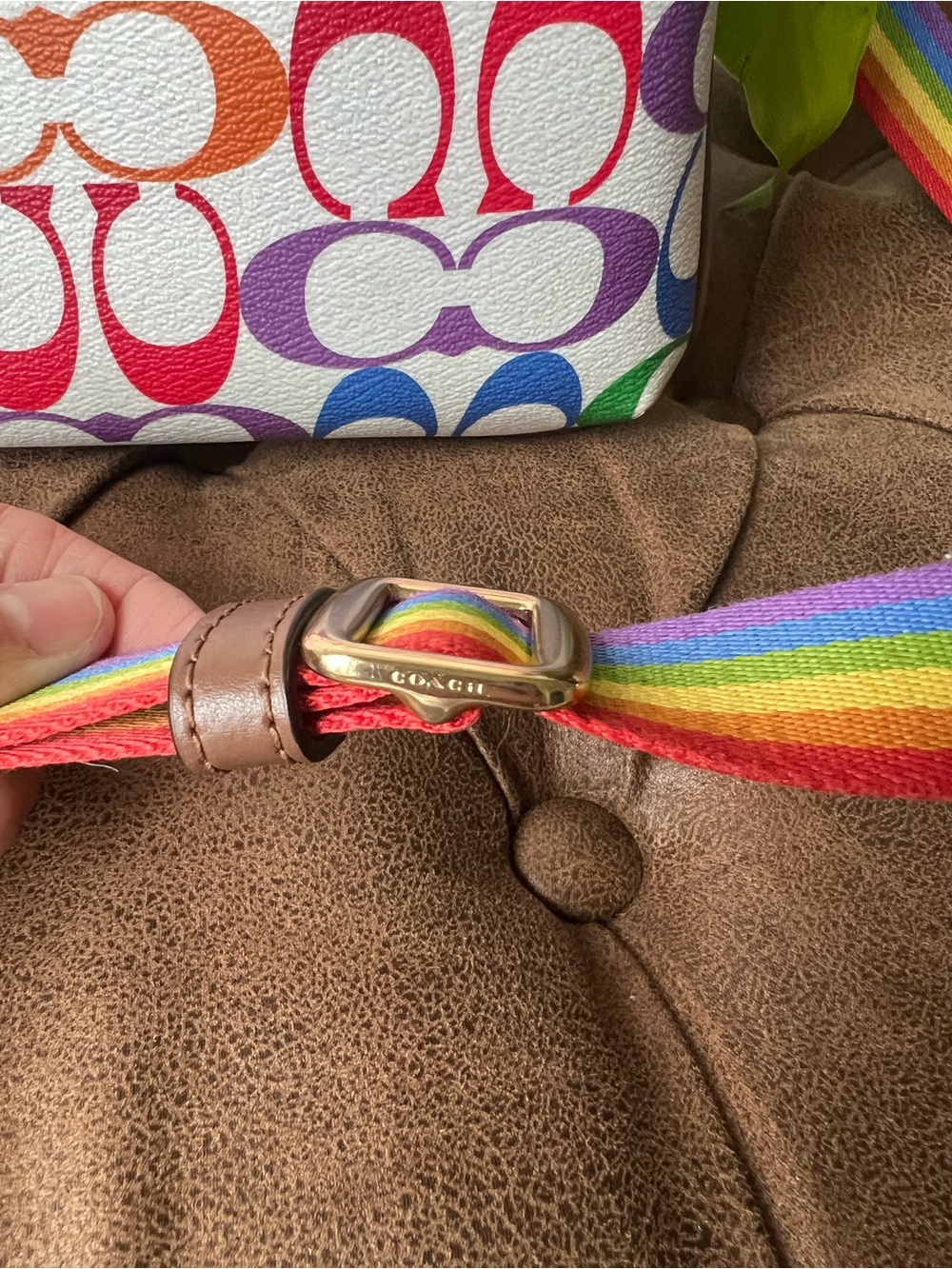 Coach Jes Slim Rainbow Crossbody Bag NWOT - Picture 5 of 11